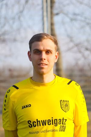 Arne Torliene